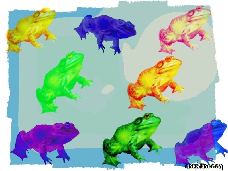 Colorful Frogs