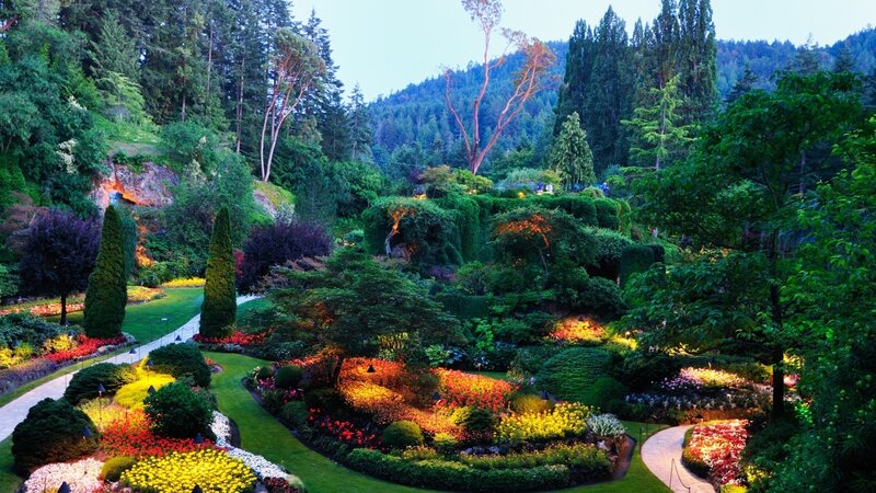 Colorful Garden at Dusk — Green, Serene, Sunset, Photograph