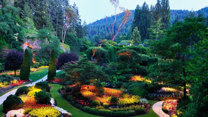 Colorful Garden at Dusk — Green, Serene, Sunset, Photograph, Trees