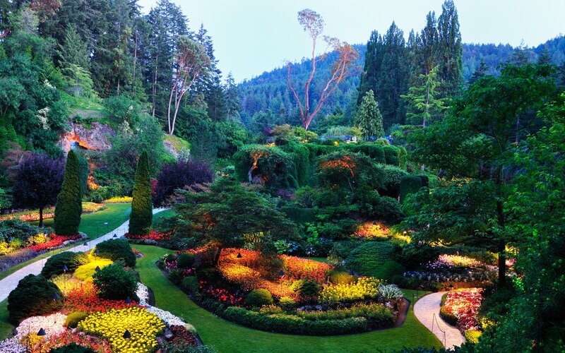 Colorful Garden at Dusk — Green, Serene, Sunset