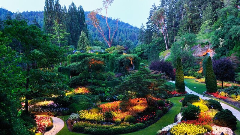 Colorful Garden at Dusk — Green, Serene