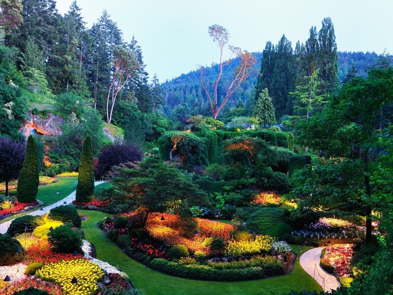 Colorful Garden at Dusk — Green