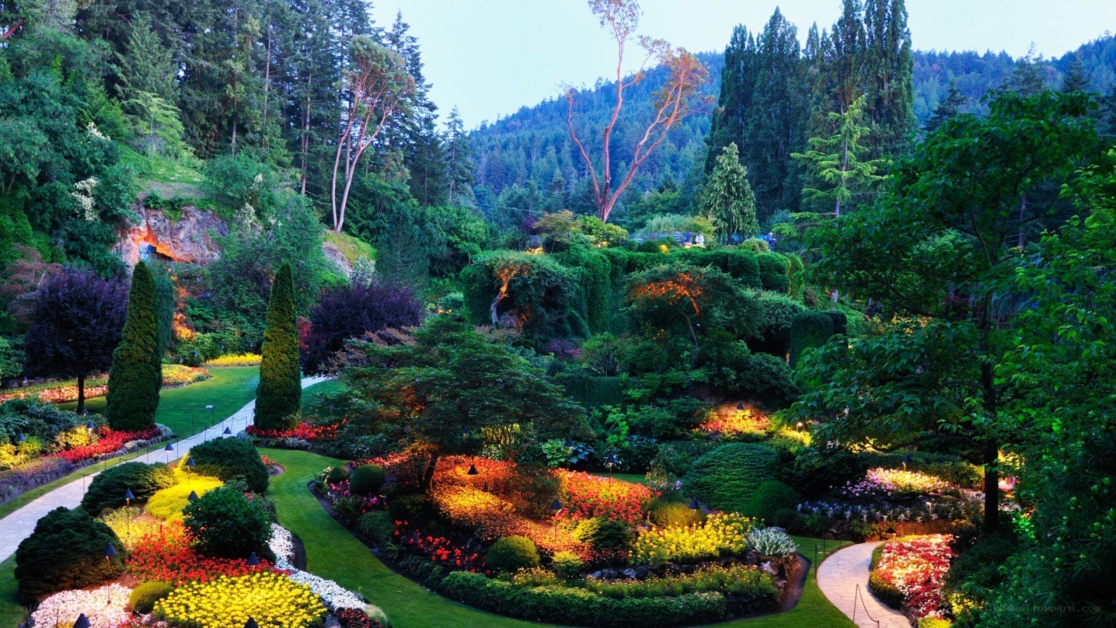 colorful garden at dusk