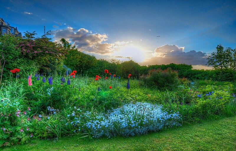 Colorful Garden at Sunset — Green