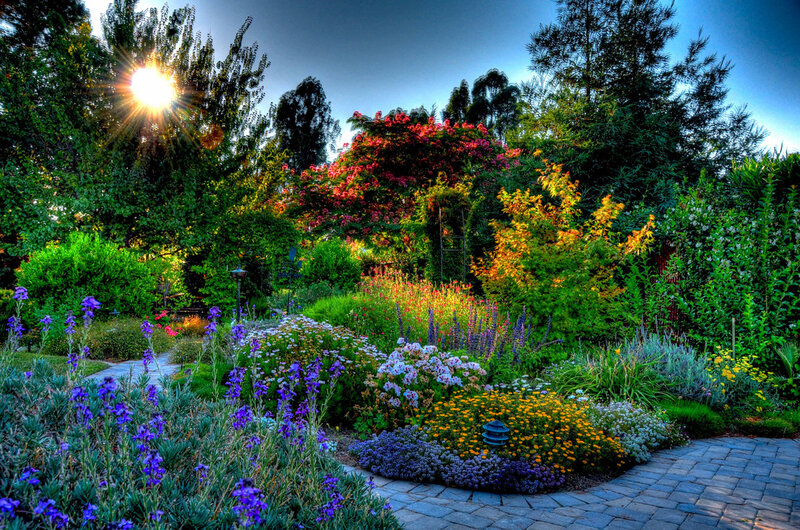 Colorful Garden at Sunset