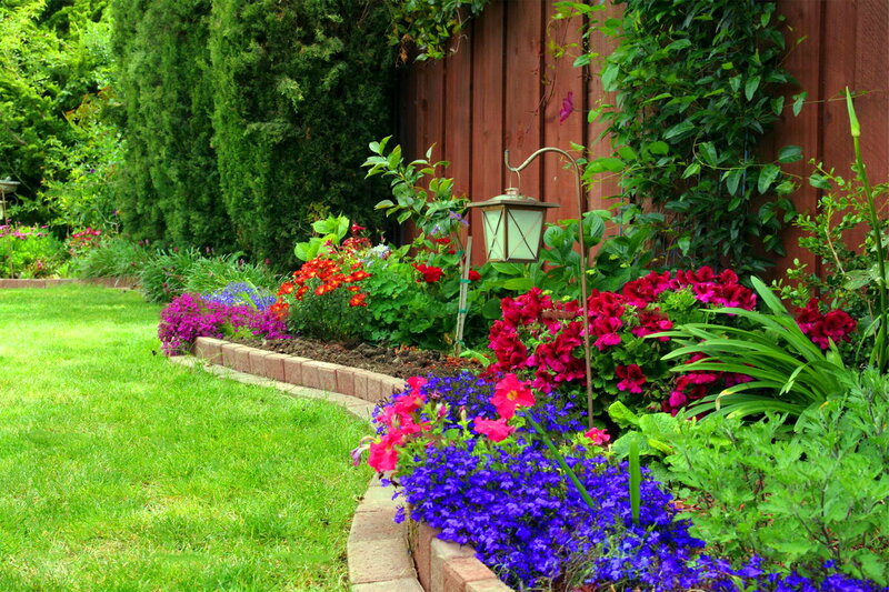 Colorful Garden Bed — Green, Serene