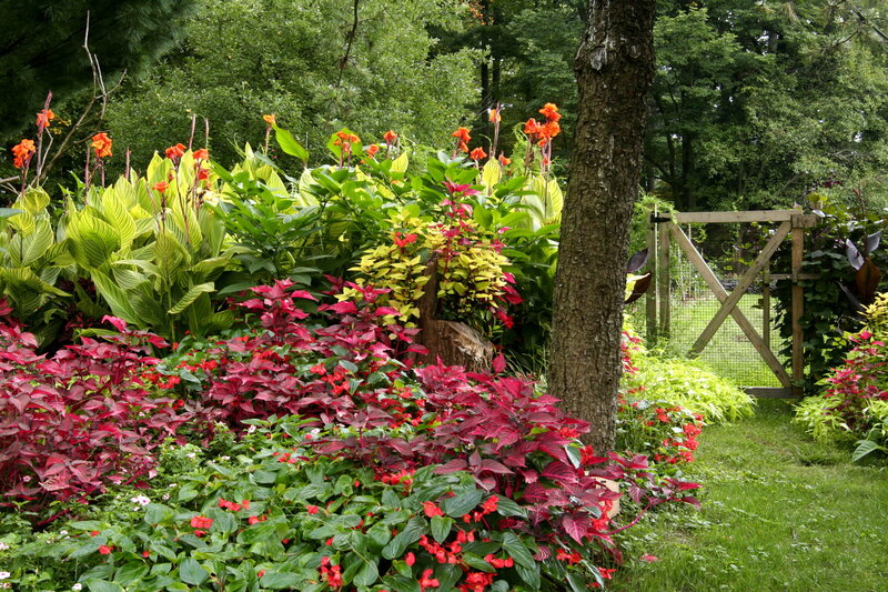 Colorful Garden Bed — Green