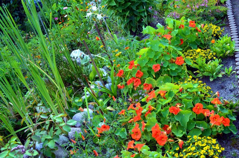 Colorful Garden Bed — Green, Vibrant