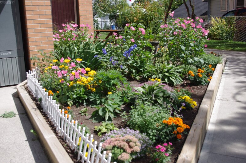 colorful garden bed in front yard