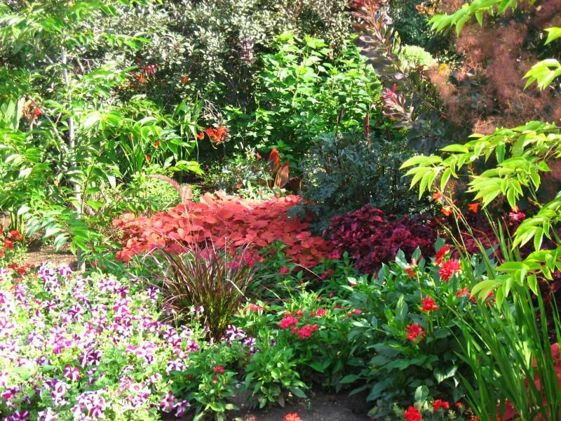 Colorful Garden Bed