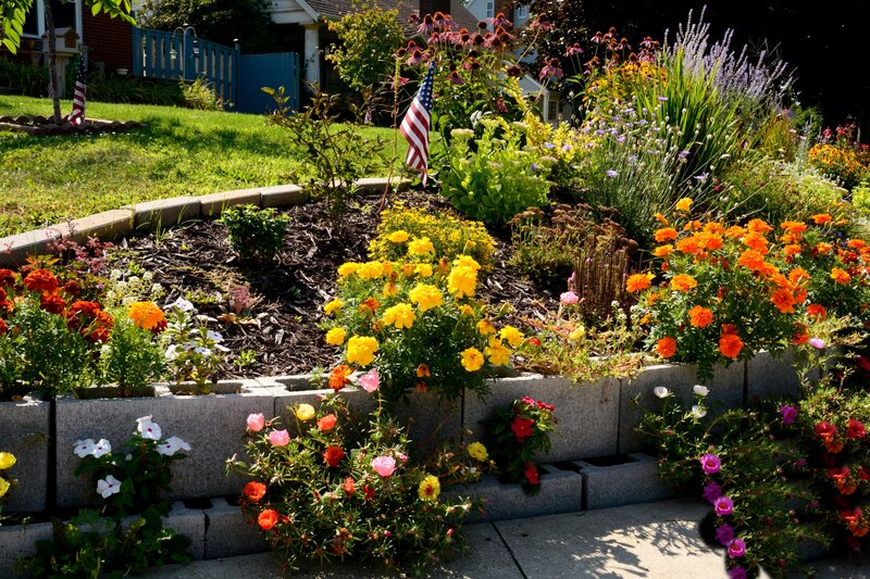 Colorful Garden Bed — Yellow, Bright