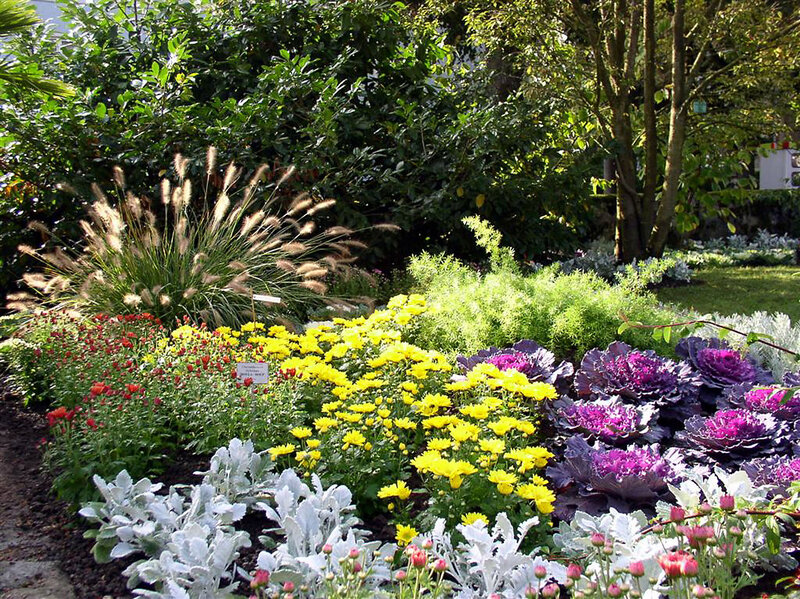 Colorful Garden Bed — Yellow