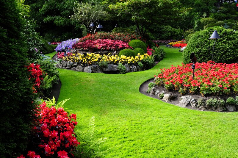 Colorful Garden Beds