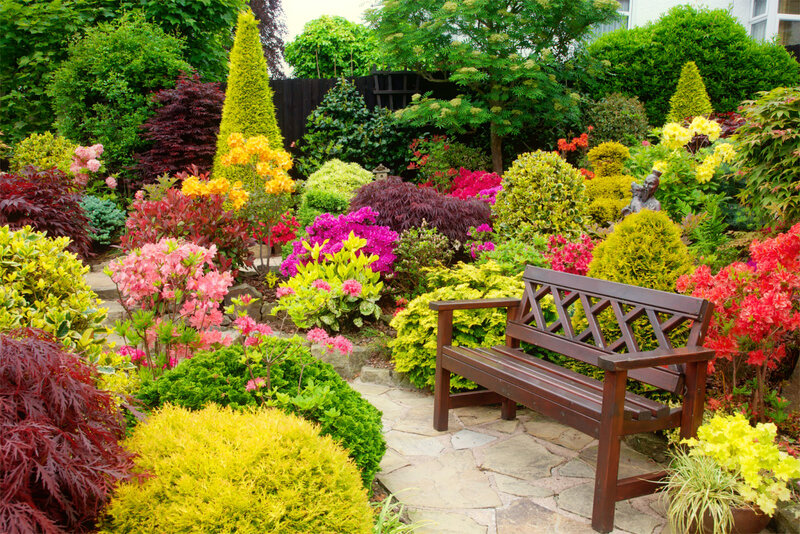 Colorful Garden Bench