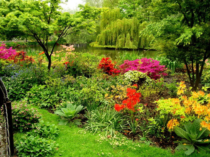 Colorful Garden by Pond — Green