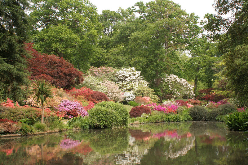 Colorful Garden by Pond