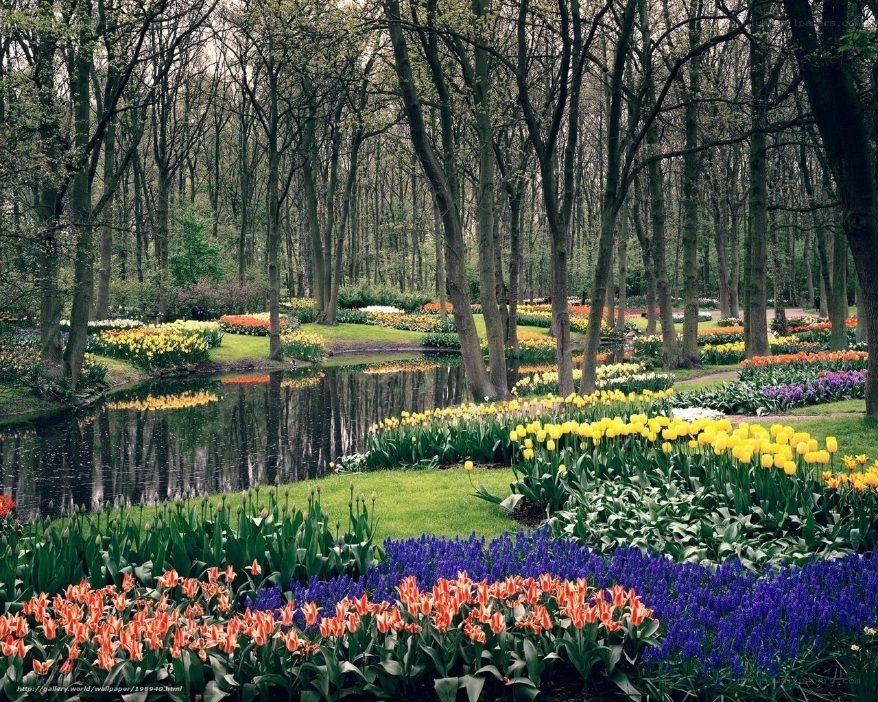 Colorful garden by the pond