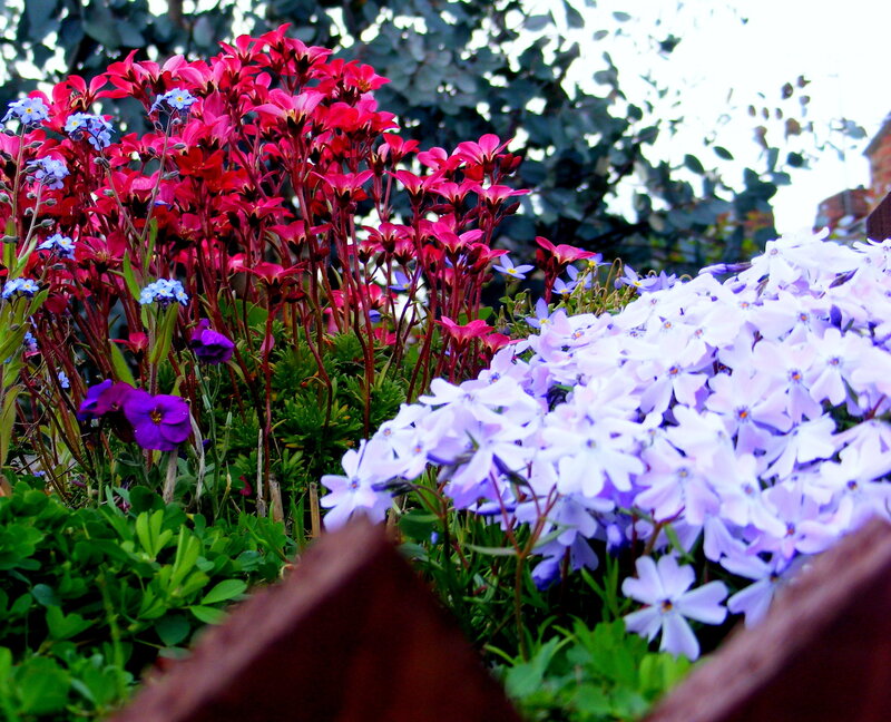 Colorful garden flower arrangement