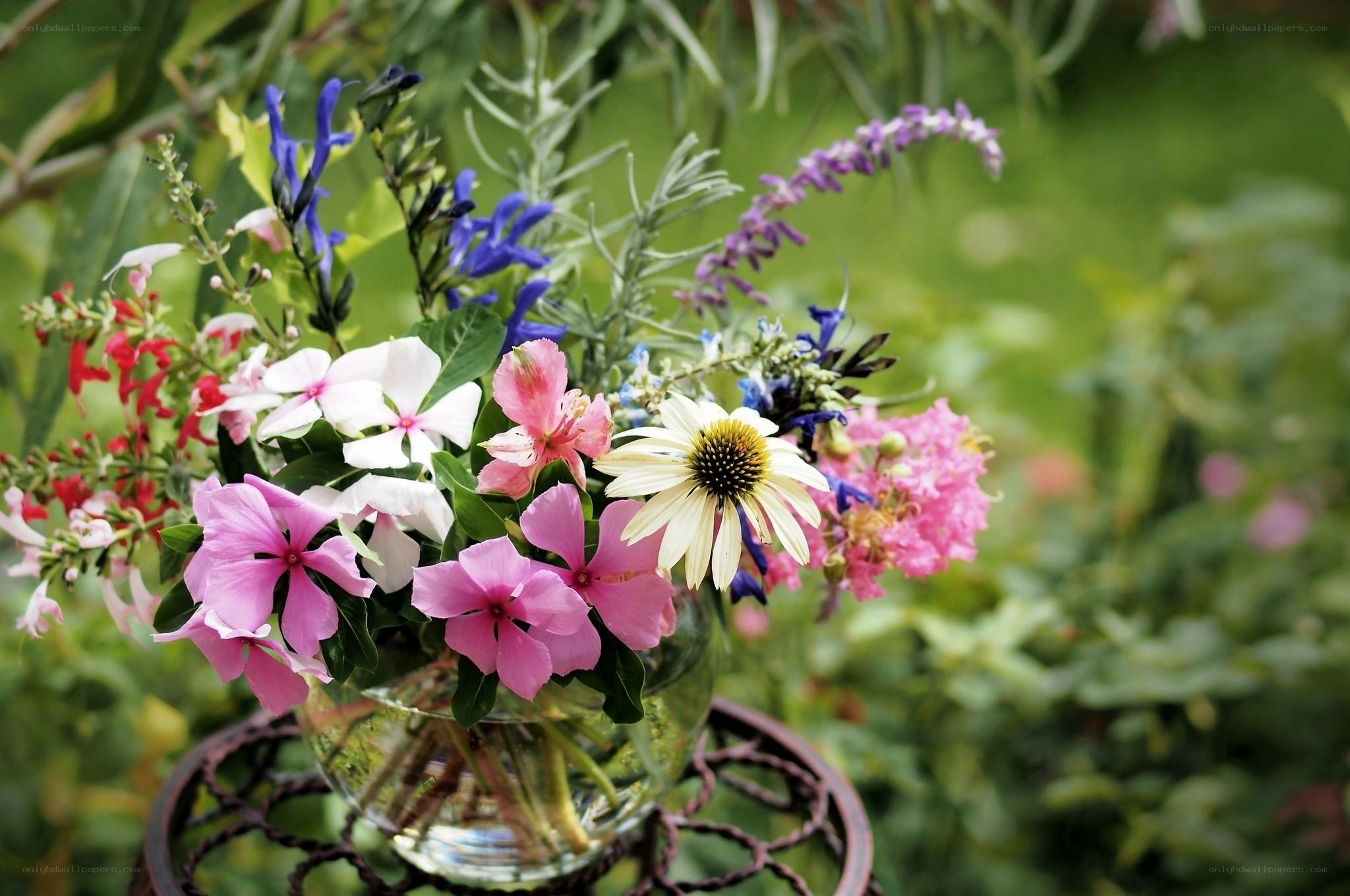 Colorful garden flower bouquet