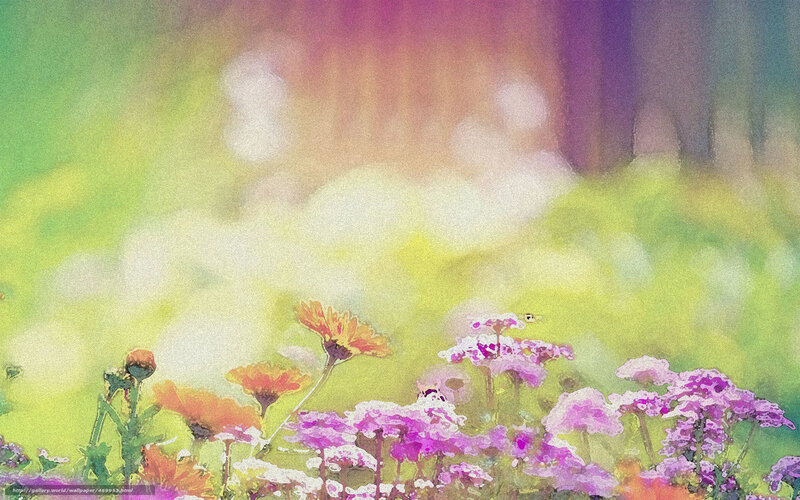 Colorful garden flowers