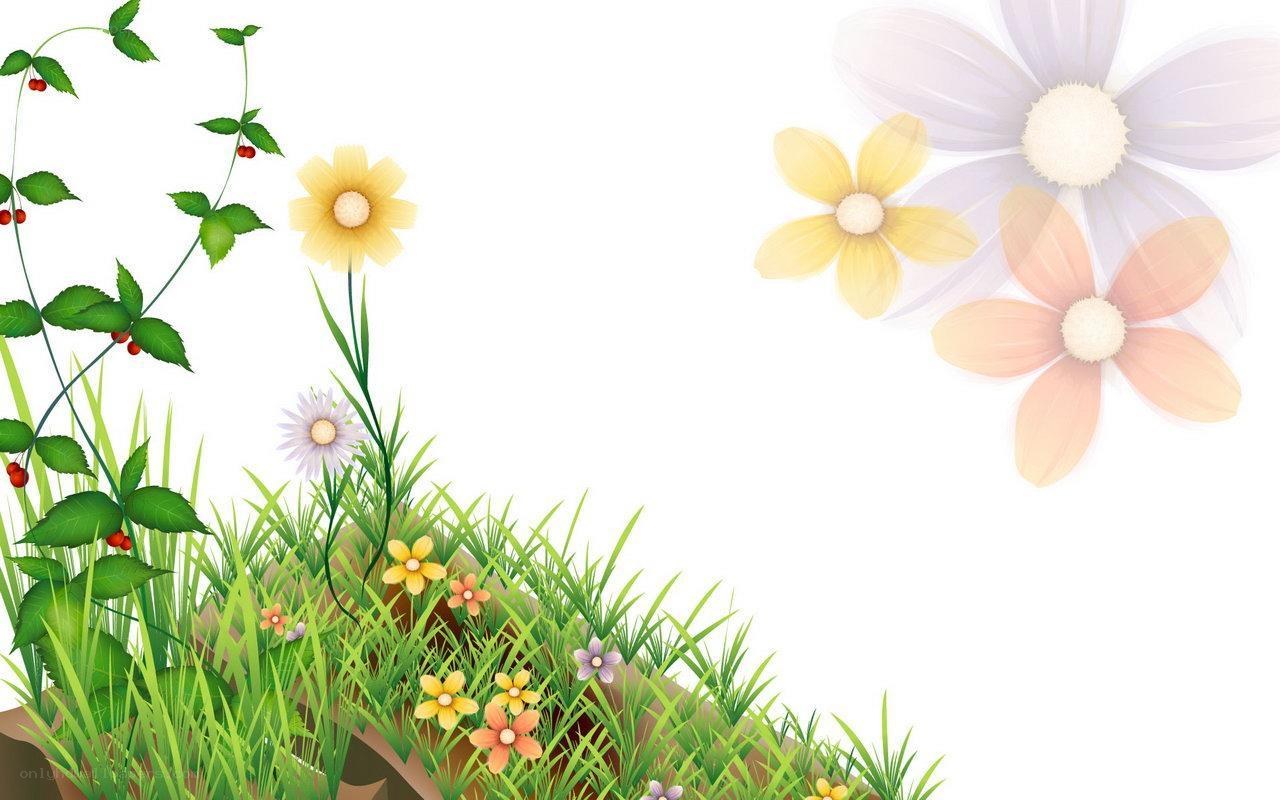 colorful garden flowers