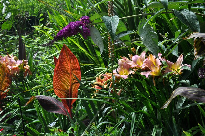 Colorful Garden Flowers — Green, Lush