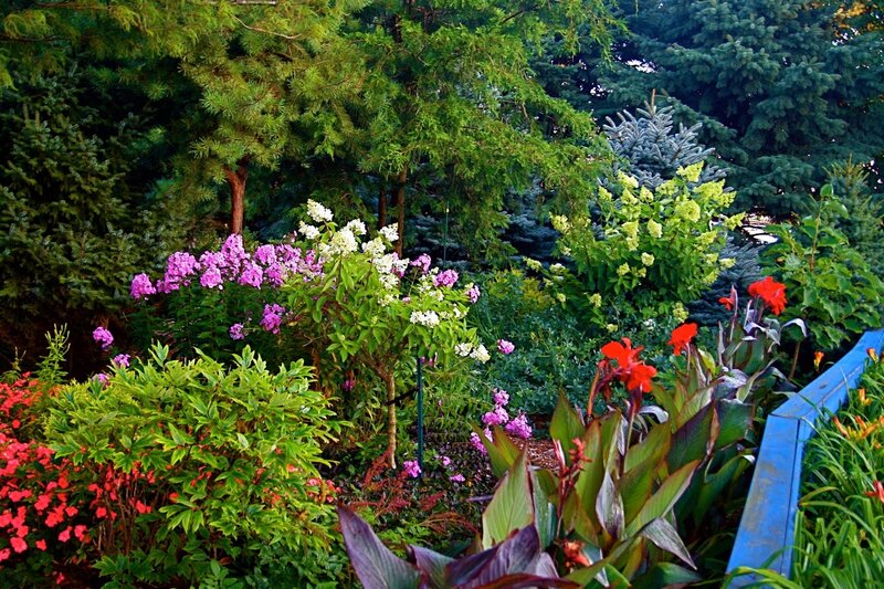 Colorful Garden Flowers — Green, Serene, Afternoon, Photograph, Trees