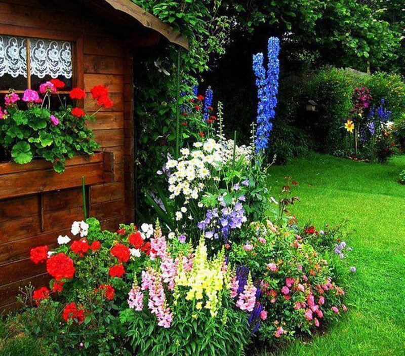 Colorful Garden Flowers — Green, Serene, Afternoon, Photograph, Wooden Cabin