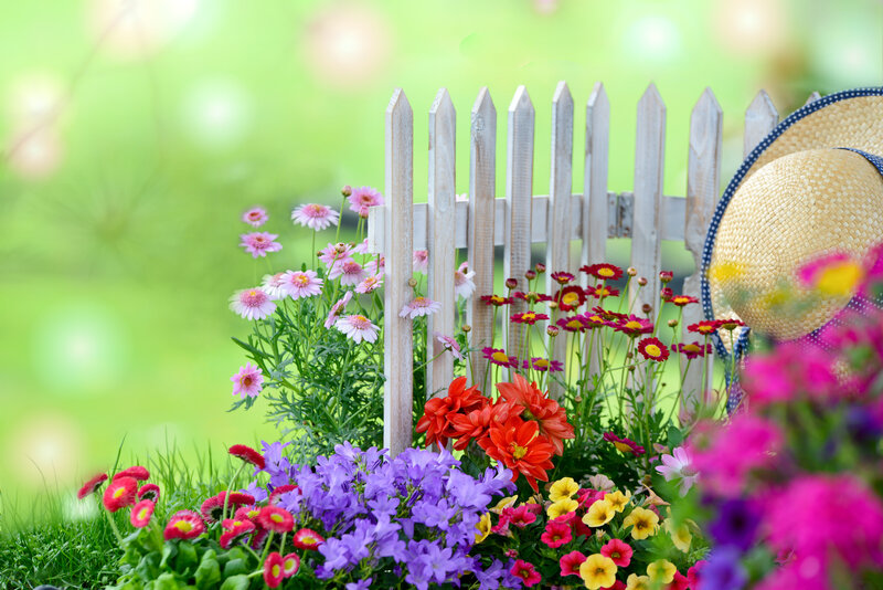 Colorful Garden Flowers — Green, Serene, Spring, Photograph