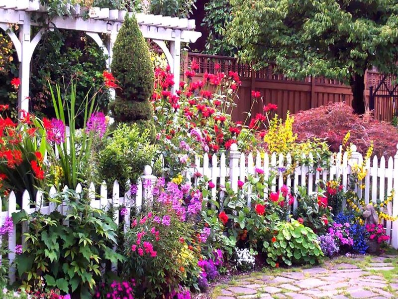 Colorful Garden Flowers — Red, Serene