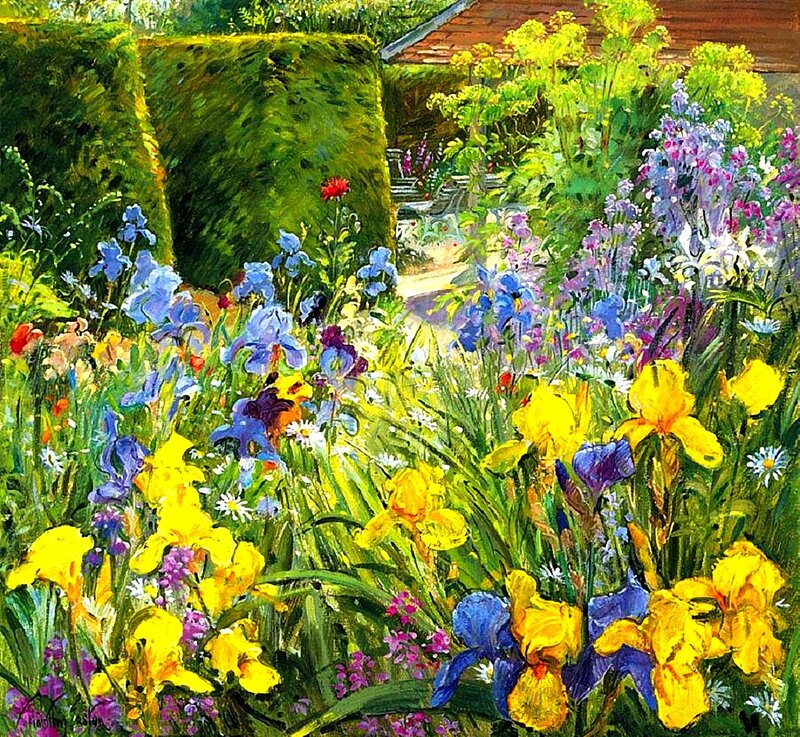 Colorful Garden Flowers — Yellow