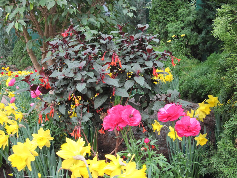 Colorful Garden Flowers — Yellow, Vibrant, Spring