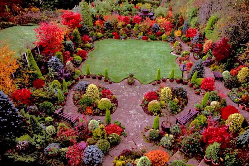 Colorful Garden from Above