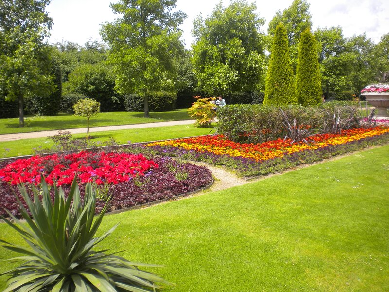 Colorful garden in a park
