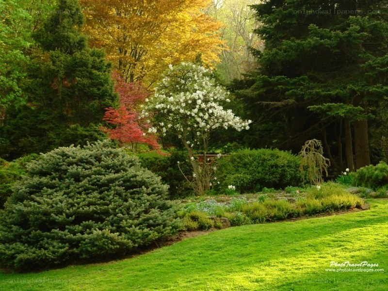 colorful garden in autumn