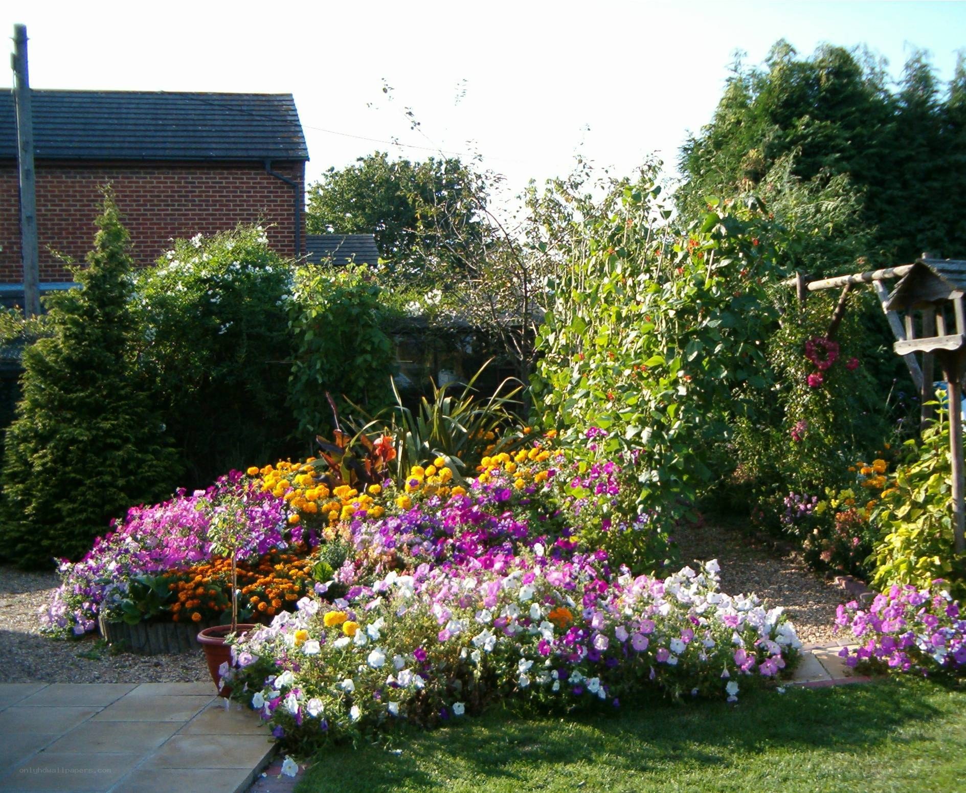 colorful garden in backyard