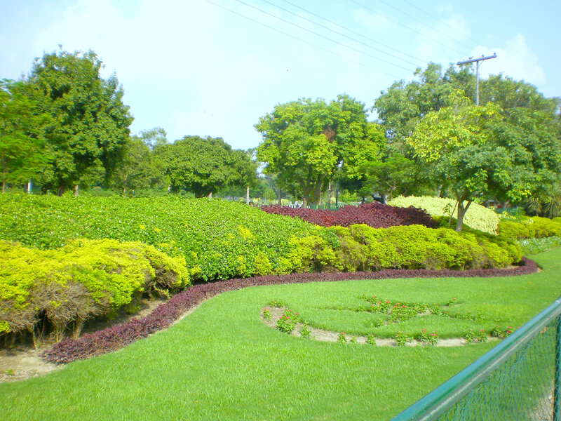 colorful garden landscape