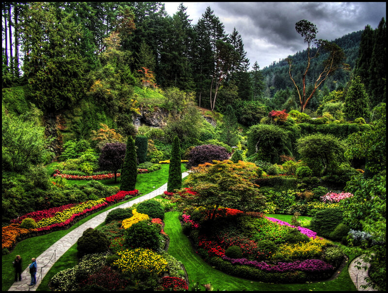Colorful Garden Landscape — Green, Dramatic