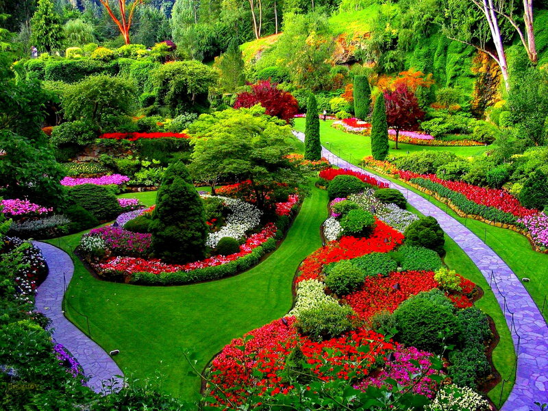 Colorful Garden Landscape — Green, Serene, Afternoon, Photograph