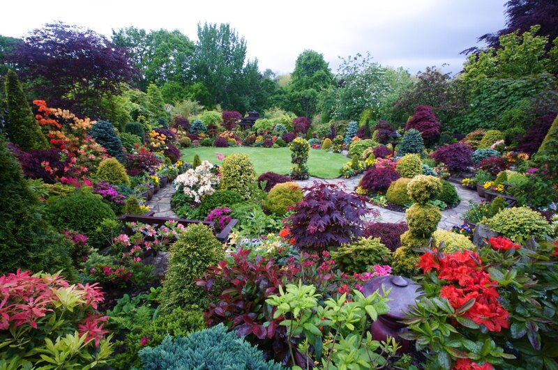 Colorful Garden Landscape — Green, Serene, Afternoon, Photograph, Trees
