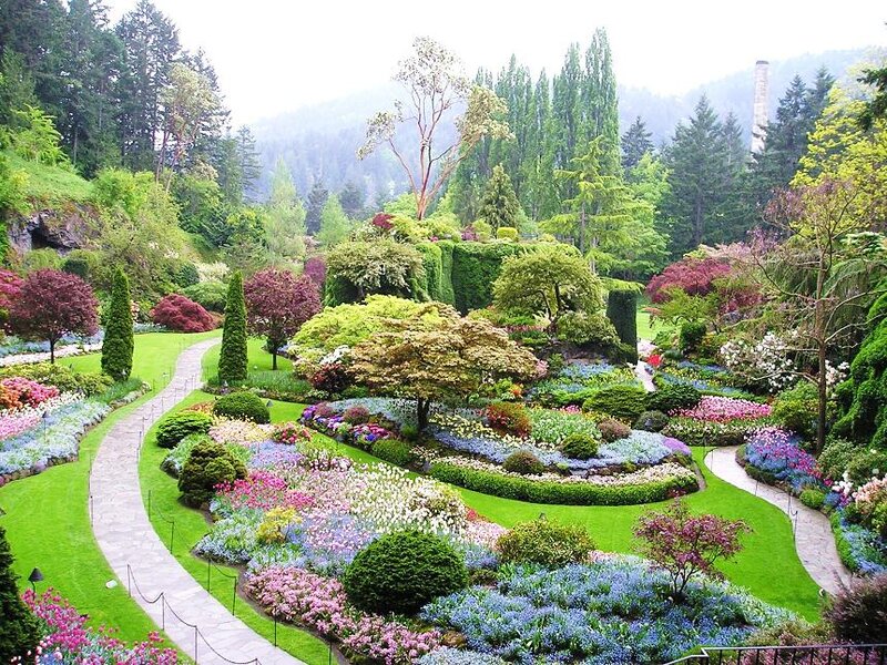 Colorful Garden Landscape — Green, Serene, Spring
