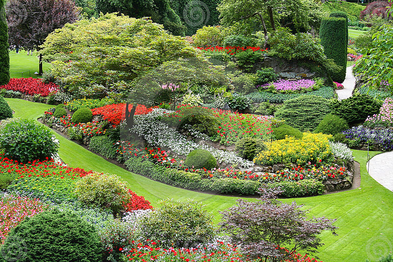 Colorful Garden Landscape — Green, Serene