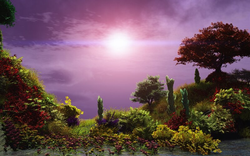 Colorful Garden Landscape — Purple