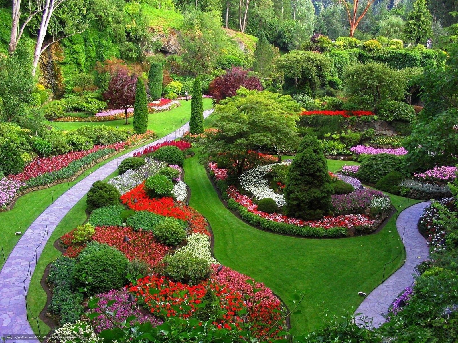 Colorful garden landscape