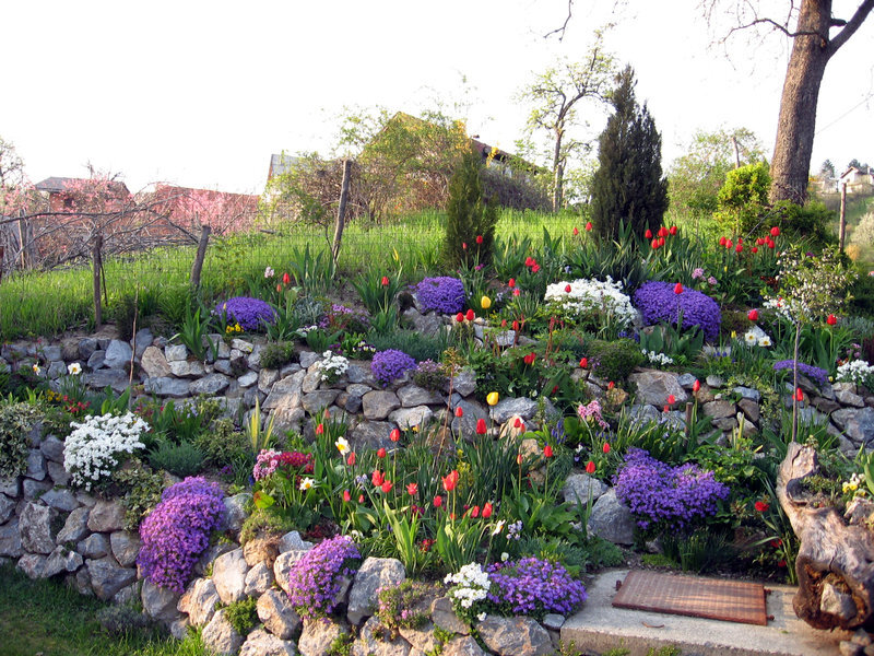 Colorful Garden on Stone Wall