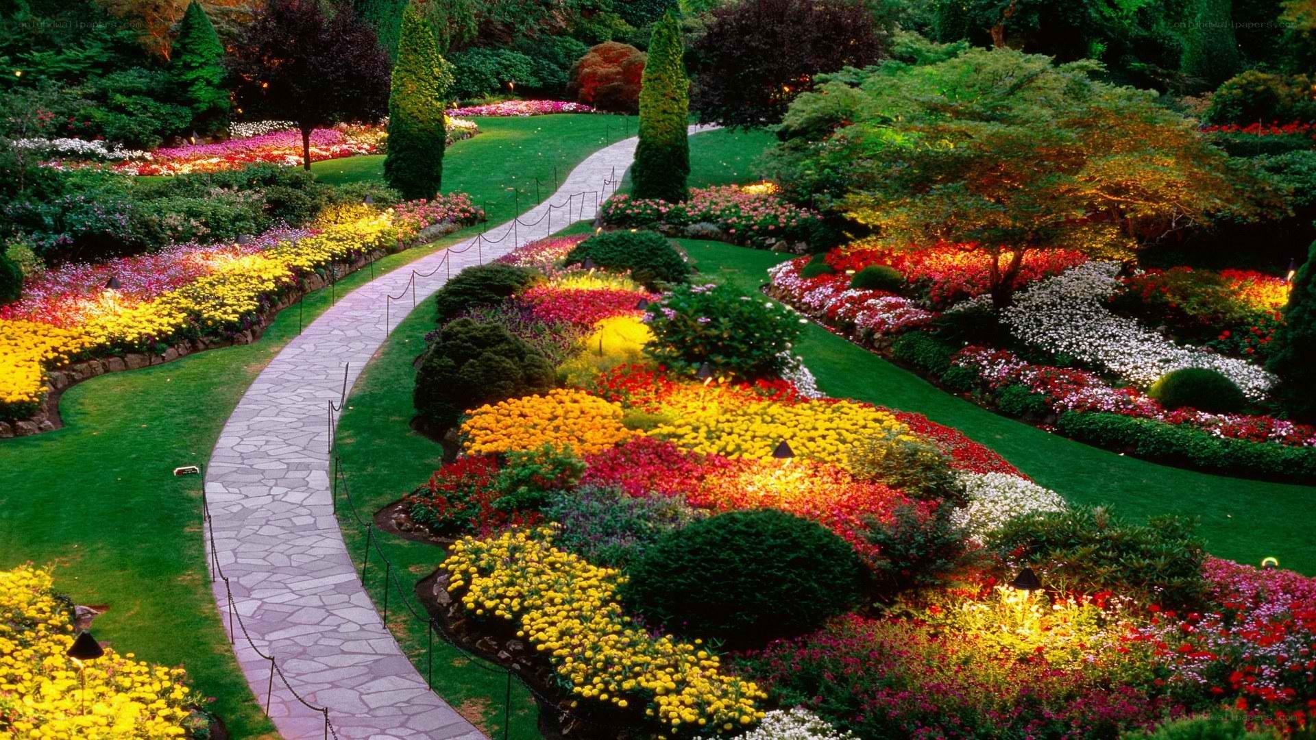 Colorful garden path