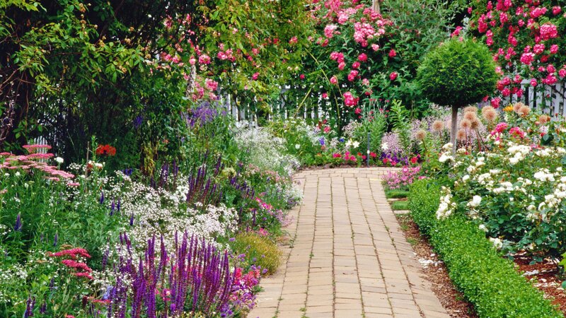 Colorful garden path