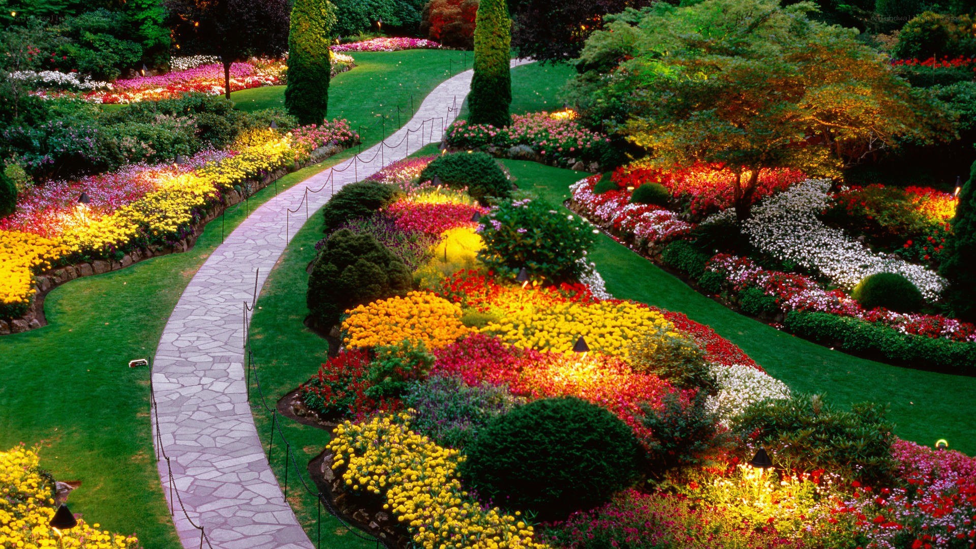 colorful garden path at dusk