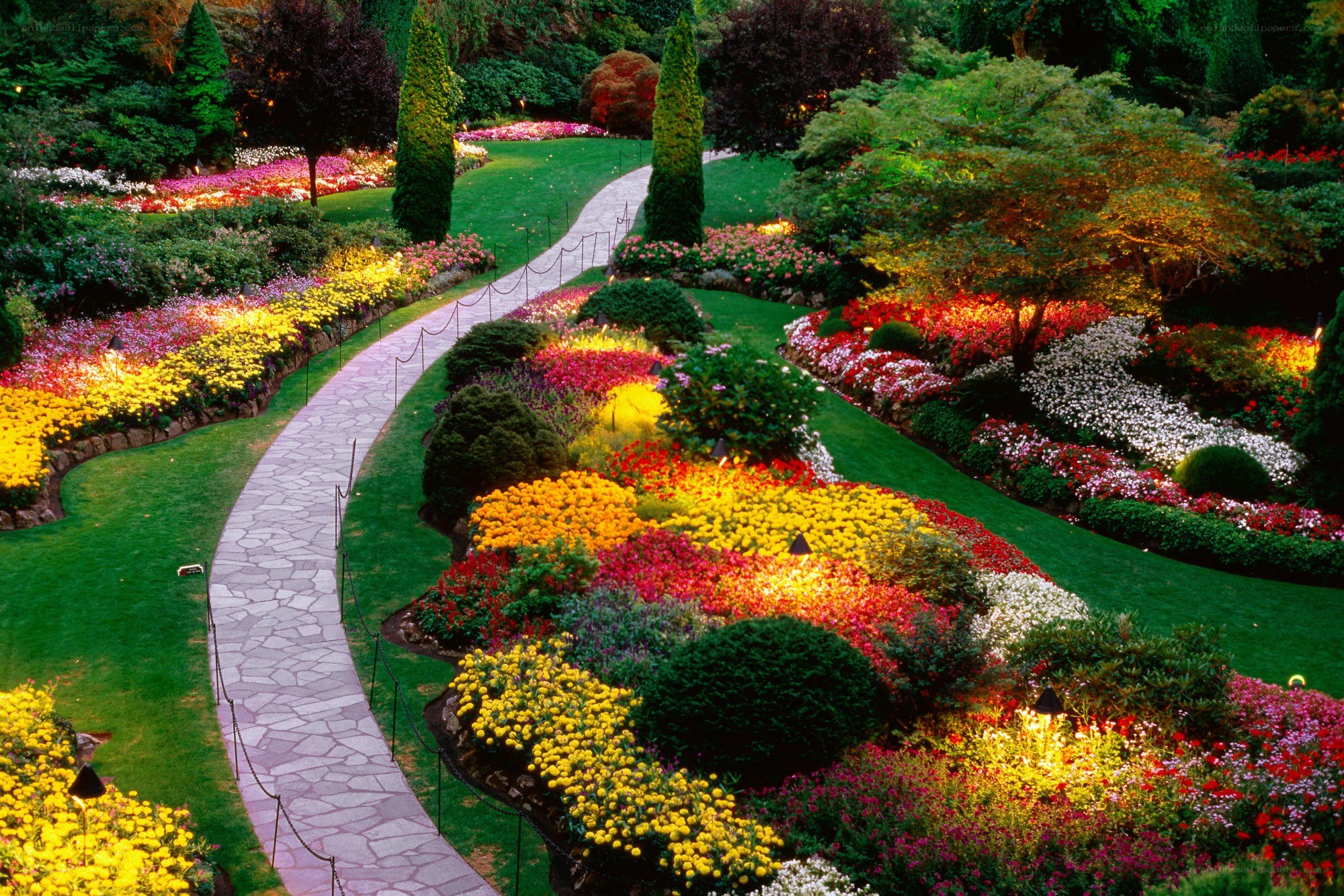 Colorful garden path at dusk