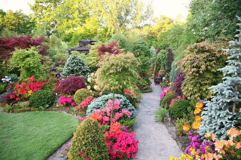 Colorful Garden Path — Green, Serene, Afternoon, Photograph, Flowers